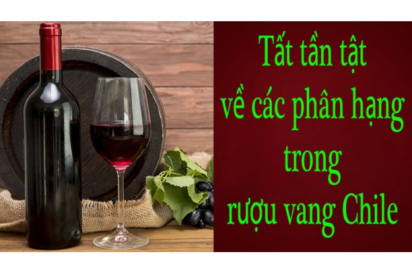 Các phân hạng trong rượu vang Chile Reserva grand reserva Icon Wine