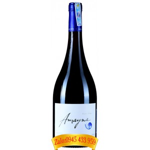 Rượu vang Amayna Pinot Noir 750ml