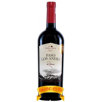 Rượu vang Paso Los Andes Reserva Cabernet Sauvignon